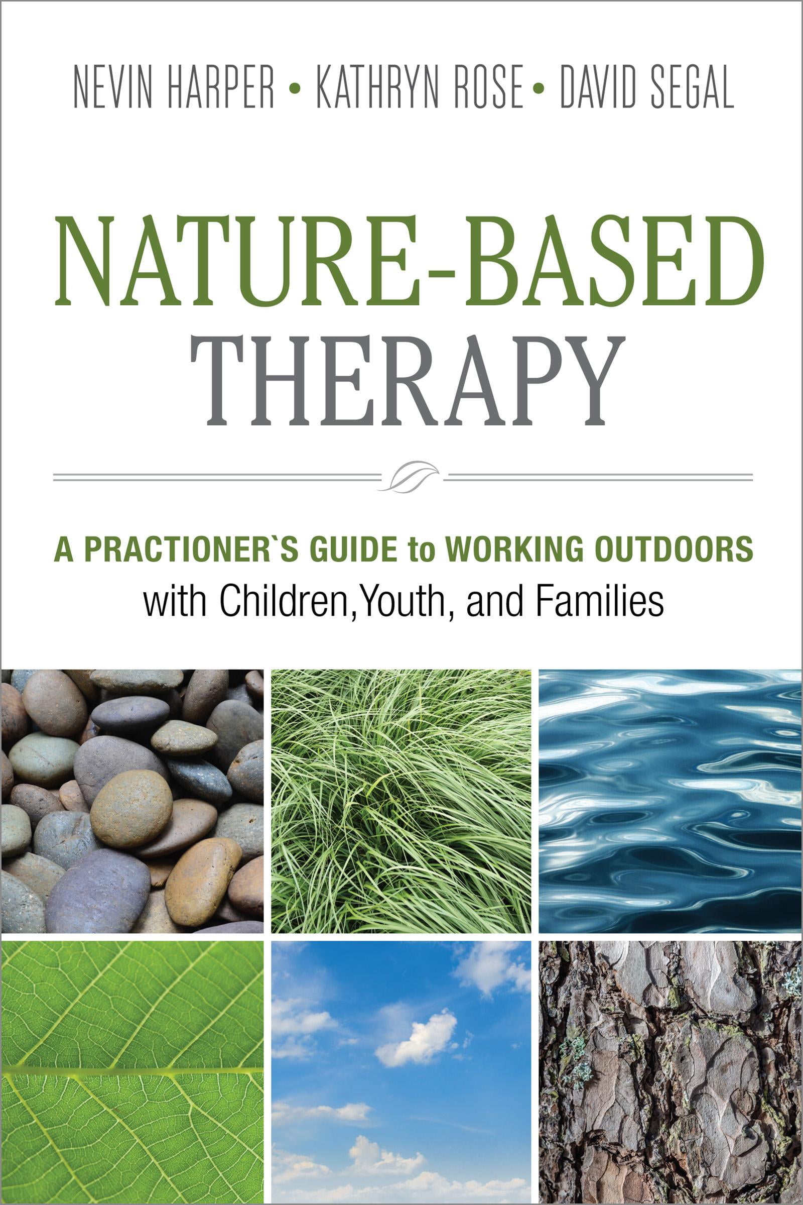 The Practitioners Guide to Working with Families